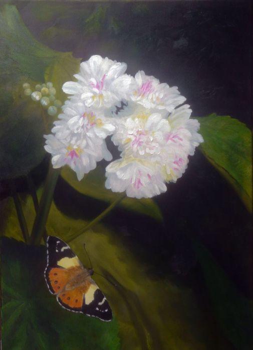 Australian Admiral Butterfly with White Flowers Original Oil Painting by Garry Purcell