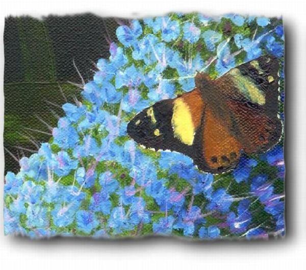 Close up of the Butterfly and flower showing some of the detail in this oil painting Australian Admiral Butterfly on a Blue Buddleia Flower Oil Painting Close Up