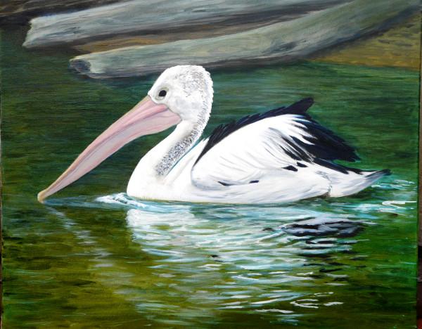 Pelican on a Lake original oil painting for sale by Australian artist Garry Purcell