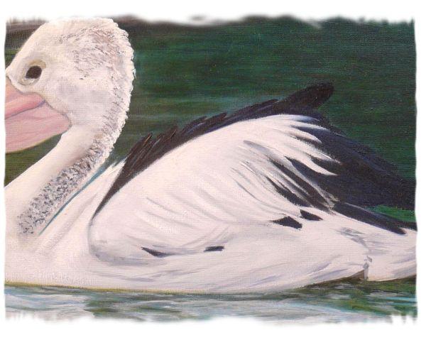 Close Up showing some detail of the Pelican oil painting by Australian artist Garry Purcell