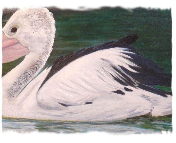 Close Up of the Pelican in my oil painting Close Up showing some detail of the Pelican oil painting by Australian artist Garry Purcell