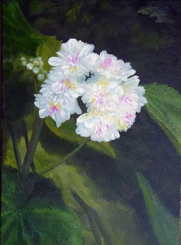 White Floral