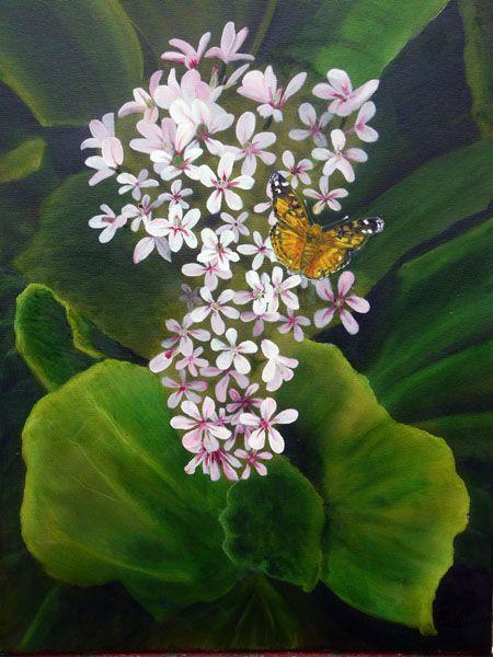Australian Painted Lady Butterfly on Pink Flowers Oil Painting for sale by Australian artist Garry Purcell