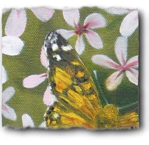 Close up of the Australian Admiral Butterfly to my oil painting