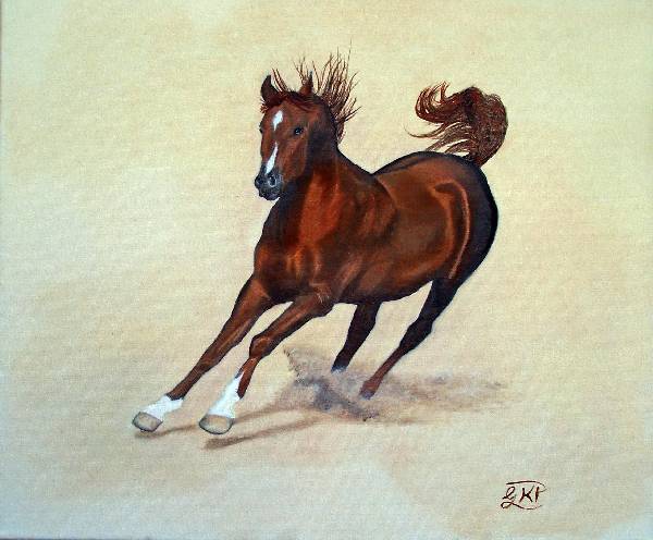 Chestnut Arab Horse Oil Painting by Artist Garry Purcell