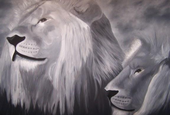 Lions at the Melbourne Zoo Demo Oil Painting Part 002