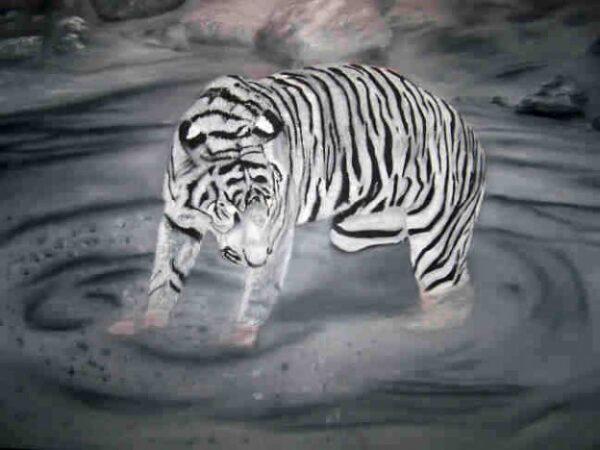 Ramalon the Sumatran Tiger Oil Painting Demo Part 001