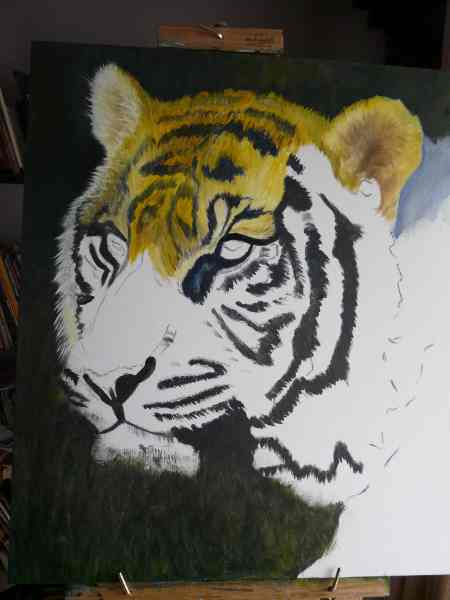 Sumatran Tiger Head Oil Painting Demonstration Part 1