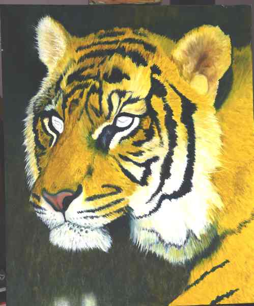 Sumatran Tiger Head Part 003 Demo Oil Painting
