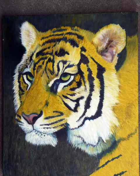 Sumatran Tiger Head Part 004 Demo Oil Painting