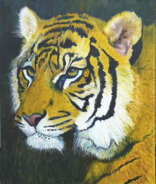 Sumatran Tiger Head Oil Painting Demonstration Part 4