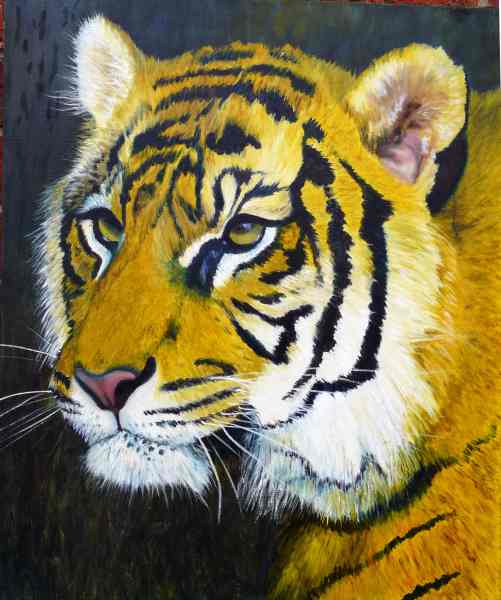 Sumatran Tiger Head Oil Painting Demonstration Part 6