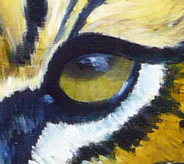 Sumatran Tiger Head - Original Oil Painting Eye Close Up