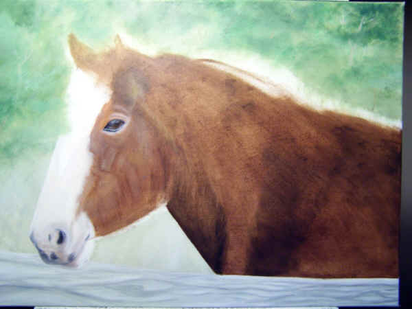Draught Horse from Churchill Island Oil Painting Demo 005