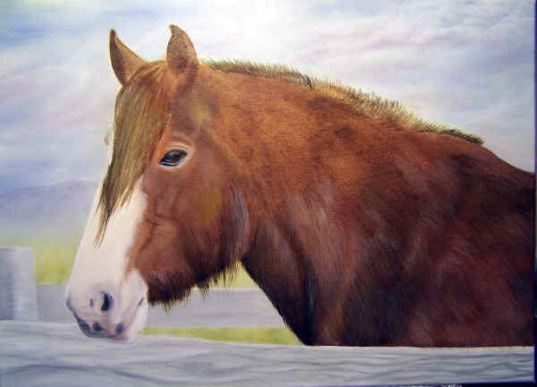 Draught Horse from Churchill Island Oil Painting Demo 007