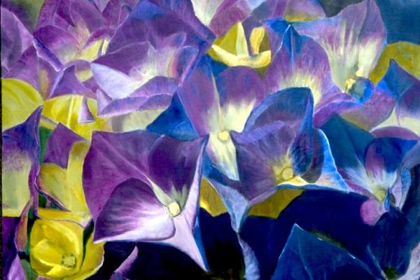 Hydrangea Flower Floral Oil Painting by Australian artist Garry Purcell