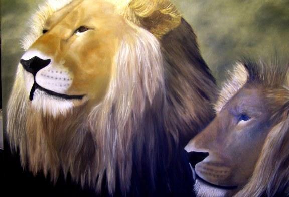 Lions at the Melbourne Zoo Demo Oil Painting Part 004