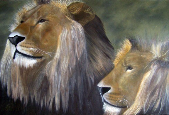 Lions at the Melbourne Zoo Demonstration Oil Painting by Artist Garry Purcell