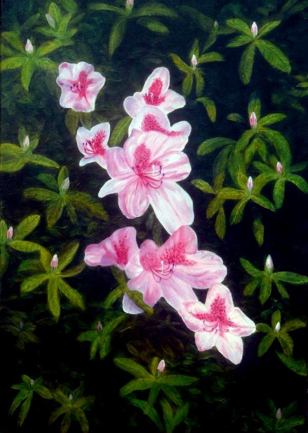Pink Azalea flower Floral Oil Painting For Sale