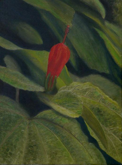 Red Flower at Wilson Botanic Park Oil Painting For Sale by Garry Purcell
