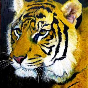Sumatran Tiger Head - Original Oil Painting by Garry Purcell