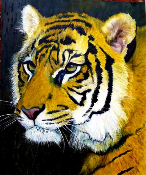 Sumatran Tiger Head - original oil Painting for sale