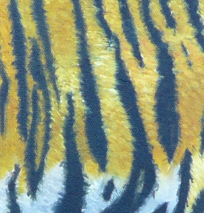 Ramalon the Sumatran Tiger Oil Painting Demo Fur Close Up