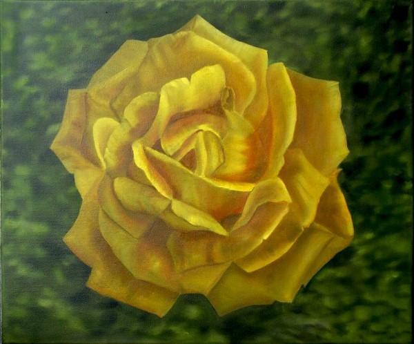 Yellow Rose Flower large original oil painting for sale by Artist Garry Purcell